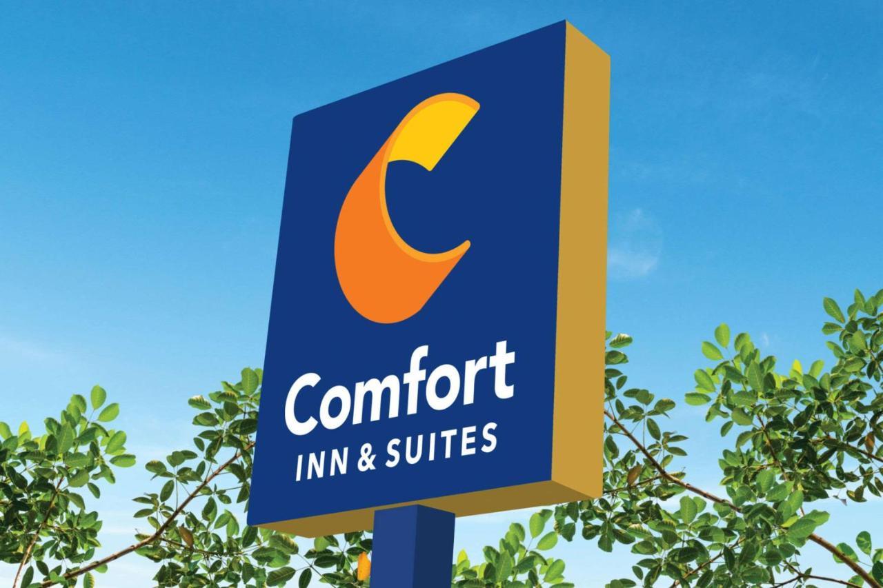 Comfort Inn&Suites Munising Eksteriør bilde